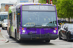A6706520.jpg