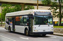 A6706531.jpg