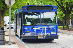A6706550.jpg