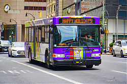 A6706565.jpg