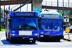 A6705322.JPG
