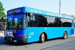 A6705382.JPG