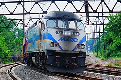 Filename=A6705274.JPG
Filesize=2250KiB
Dimensions=2048x1365
Date added=Jul 16, 2025 A6705274.JPG