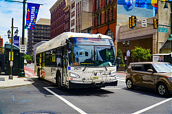 A6706754.jpg