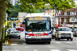 A6707061.jpg