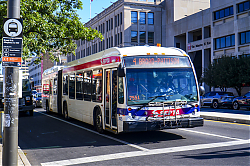 A6707521.jpg