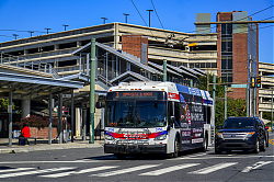 A6707530.jpg