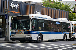 MTA_New_York_City_August_30th_2024-10.jpg