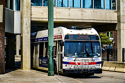 A6707076.jpg