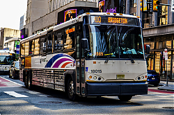 A6707081.jpg