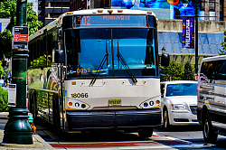 A6707095.jpg