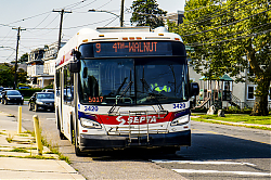 A6707127.jpg