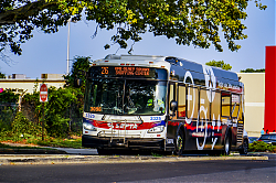 A6707130.jpg