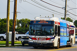 A6707138.jpg