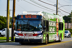 A6707139.jpg