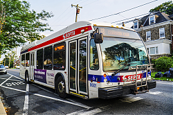 A6707141.jpg