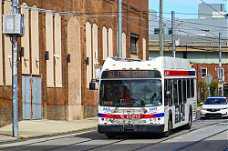 A6707753.jpg