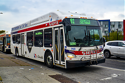 A6707866.jpg