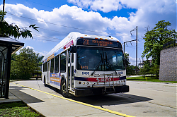 DSC01261.jpg