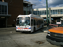 GEDC0494.JPG
