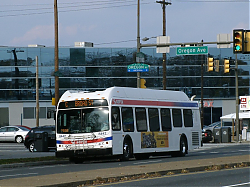 GEDC0582.JPG