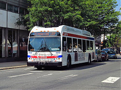 IMG_1800.JPG