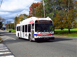 Picture_003.jpg