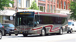 IMG_3988.JPG