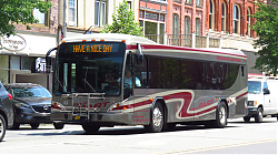 IMG_3989.JPG