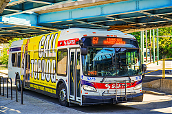A6706445.jpg