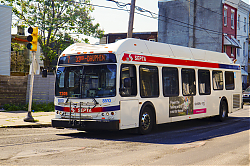 A6706680.jpg