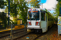 A6705763.jpg