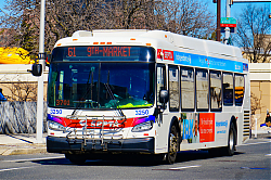 A6706178.jpg