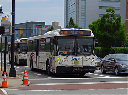 IMG_2944.JPG