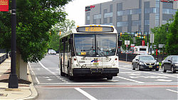 IMG_2962.JPG