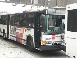 DSCF1016.JPG