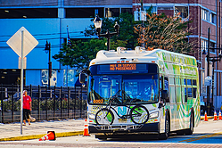 A6705822.jpg