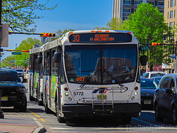 Filename=IMG_2484.jpg
Filesize=3425KiB
Dimensions=2048x1536
Date added=Apr 29, 2019 IMG_2484.jpg