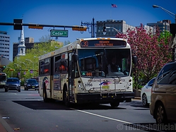 Filename=IMG_2509.jpg
Filesize=2075KiB
Dimensions=2048x1536
Date added=Apr 29, 2019 IMG_2509.jpg