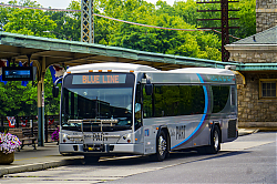 A6706867.jpg