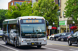 A6706888.jpg