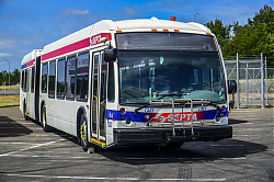 1000054336.jpg