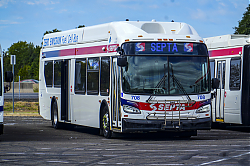 1000054339.jpg