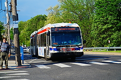 Filename=A6703919.JPG
Filesize=3525KiB
Dimensions=2047x1365
Date added=May 08, 2025 A6703919.JPG