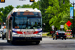 A6706876.jpg