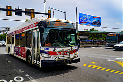 A6706877.jpg