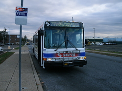 Filename=GEDC1093.JPG
Filesize=406KiB
Dimensions=900x675
Date added=Apr 12, 2025 GEDC1093.JPG