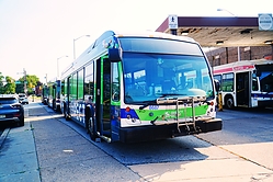A6705070.JPG
