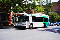 A6705298.JPG