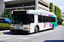 A6705301.JPG